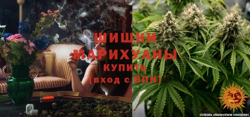 Марихуана LSD WEED  Петровск-Забайкальский 